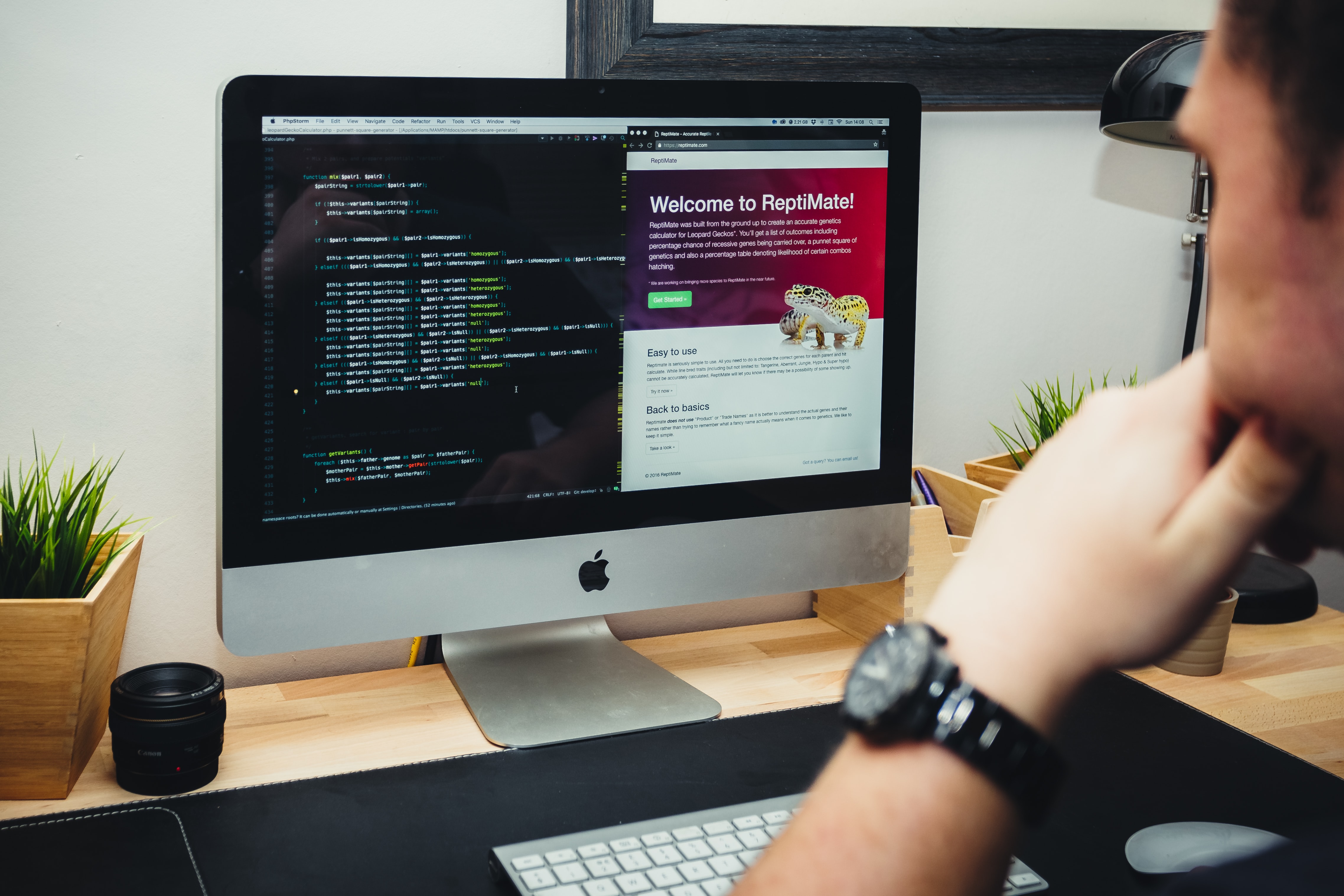 Website development